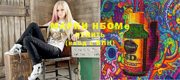 ГАЛЛЮЦИНОГЕННЫЕ ГРИБЫ Няндома