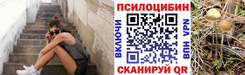 купить наркоту  MEGA рабочий сайт  Галлюциногенные грибы Magic Shrooms  Никольское 